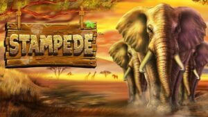 Stampede: A Gambulls Game Review